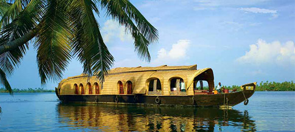 About Us 10 Honeymoon Tours image 1