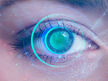 About Us 7 Our Vision img 1