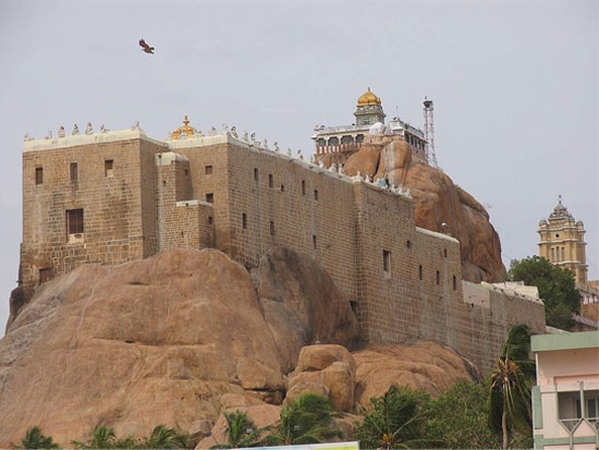 South India Travel Packages, Best Tour Packages From Kerala, Trichy to Munnar Tour Packages